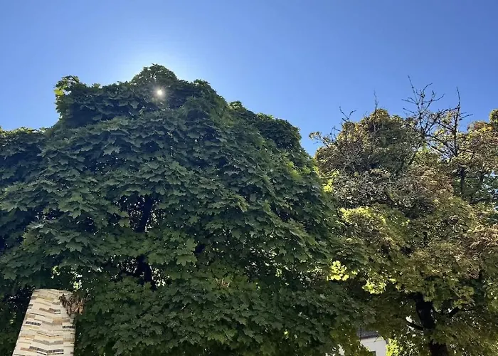 Appartement Hochwertige Goldenkey Mitten In Der Altstadt Augsburg